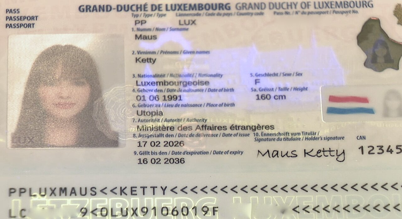 Ein Muster-Reisepass — bei der Verifizierung fotografierst du die Datenseite des Reisepasses und machst ein kurzes Selfie